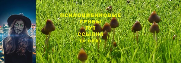 мескалин Зерноград
