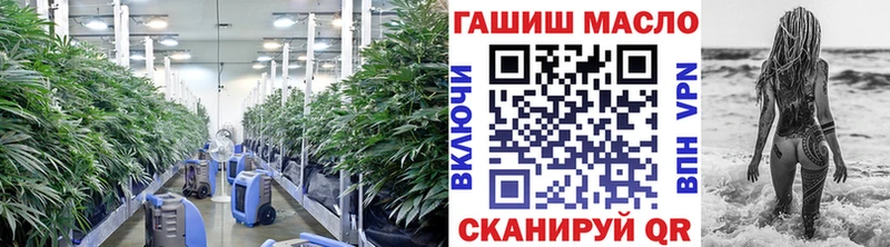 Купить закладки  Буй  ТГК концентрат 